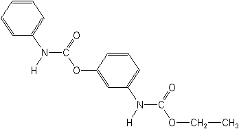 دس مدیفام ( بتانال آ . ام )